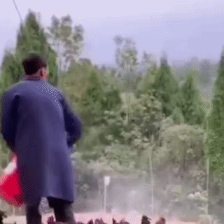 Pudra Vitaminica Animale