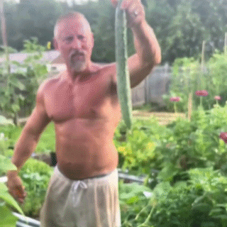 Castraveti Suyo Long