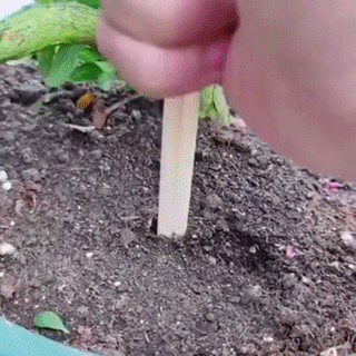 Tablete Nutritive Plante