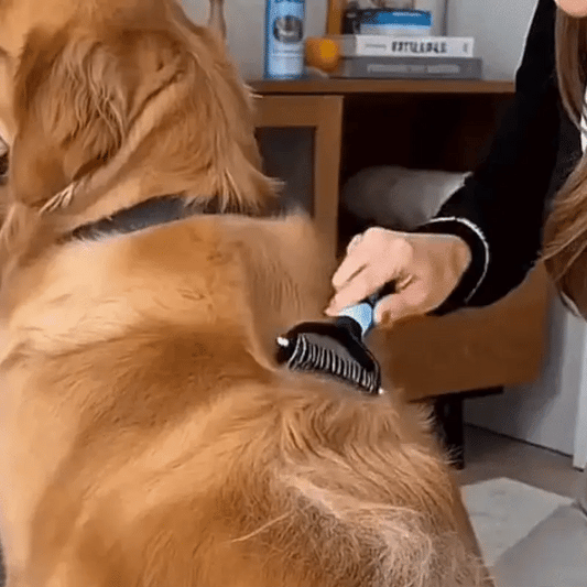 Perie Îndepartare Păr Animale Companie