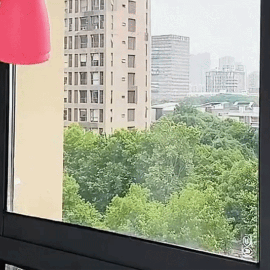 Folie Ferestre cu Protecție Solară