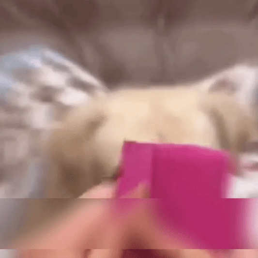 Bandaj Elastic Autoadeziv