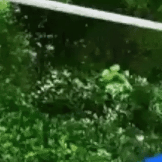 Plasă pentru Uscarea Plantelor